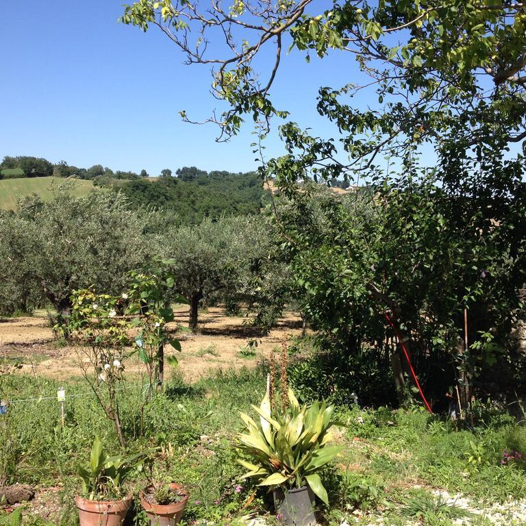 Masseria Spadone Villa Civitella Casanova Eksteriør bilde